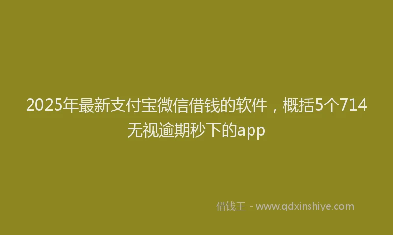 2025年最新支付宝微信借钱的软件，概括5个714无视逾期秒下的app
