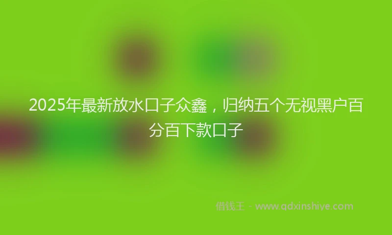 2025年最新放水口子众鑫，归纳五个无视黑户百分百下款口子