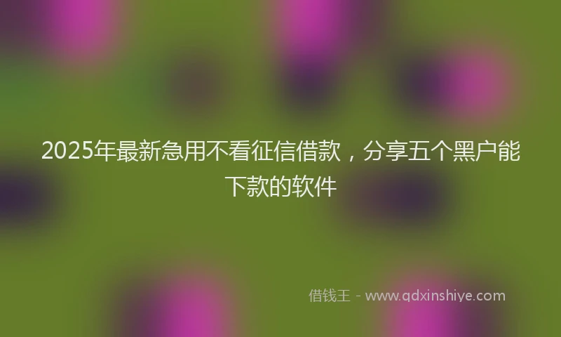 2025年最新急用不看征信借款，分享五个黑户能下款的软件