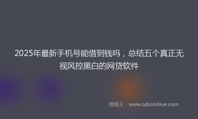 2025年最新手机号能借到钱吗，总结五个真正无视风控黑白的网贷软件
