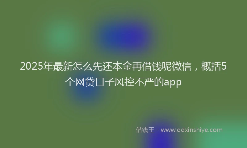 2025年最新怎么先还本金再借钱呢微信，概括5个网贷口子风控不严的app