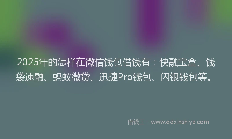 2025年的怎样在微信钱包借钱有：快融宝盒、钱袋速融、蚂蚁微贷、迅捷Pro钱包、闪银钱包等。