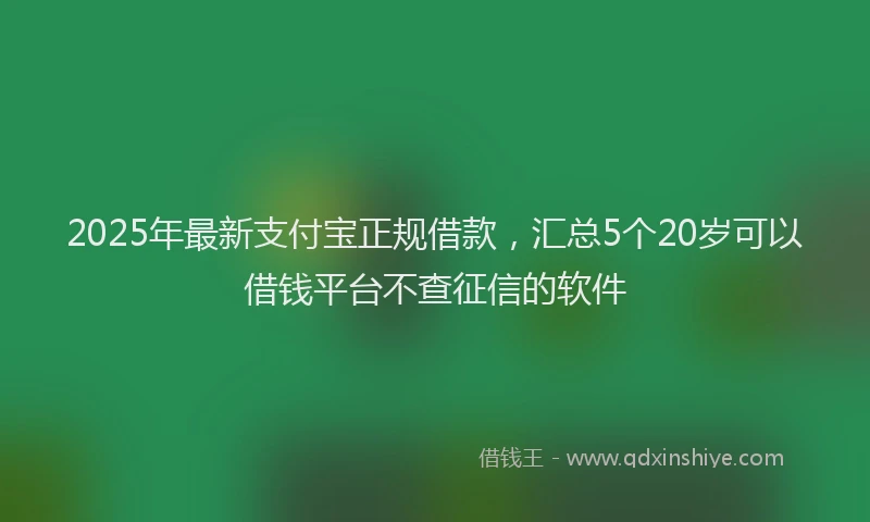 2025年最新支付宝正规借款，汇总5个20岁可以借钱平台不查征信的软件