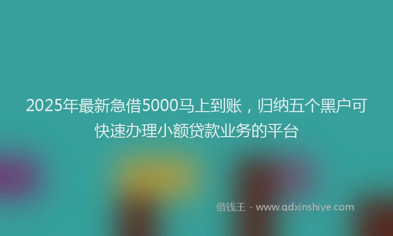2025年最新急借5000马上到账，归纳五个黑户可快速办理小额贷款业务的平台