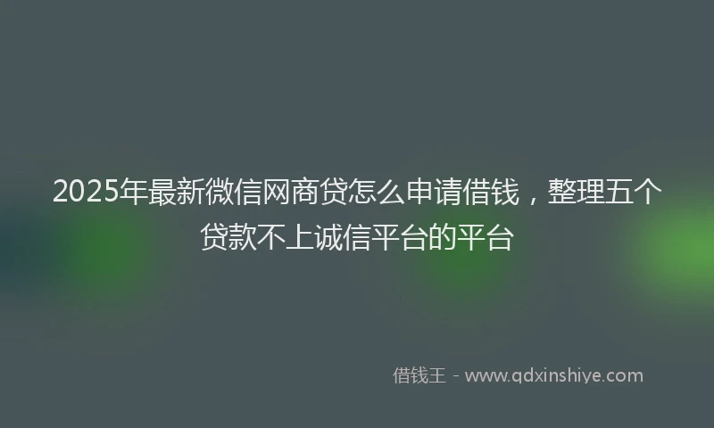 2025年最新微信网商贷怎么申请借钱，整理五个贷款不上诚信平台的平台