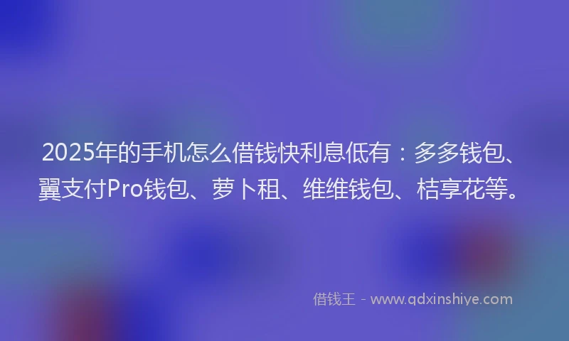 2025年的手机怎么借钱快利息低有：多多钱包、翼支付Pro钱包、萝卜租、维维钱包、桔享花等。
