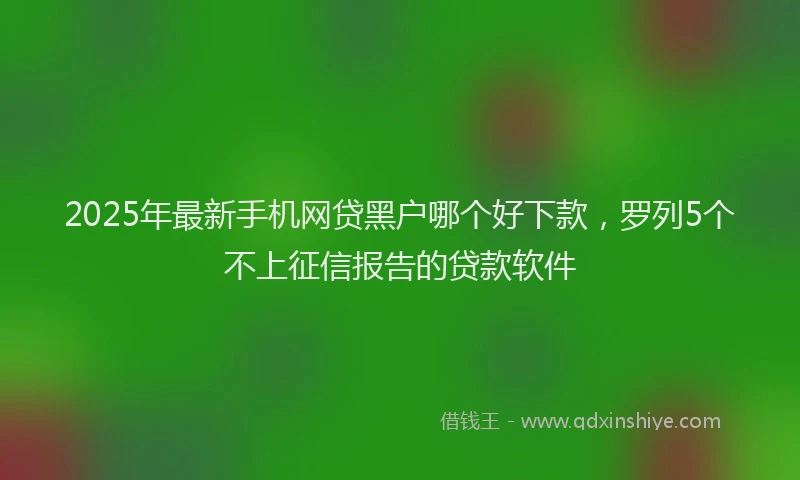 2025年最新手机网贷黑户哪个好下款，罗列5个不上征信报告的贷款软件