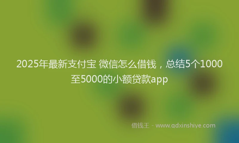 2025年最新支付宝 微信怎么借钱，总结5个1000至5000的小额贷款app