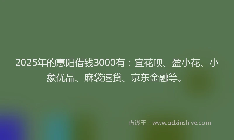 2025年的惠阳借钱3000有：宜花呗、盈小花、小象优品、麻袋速贷、京东金融等。