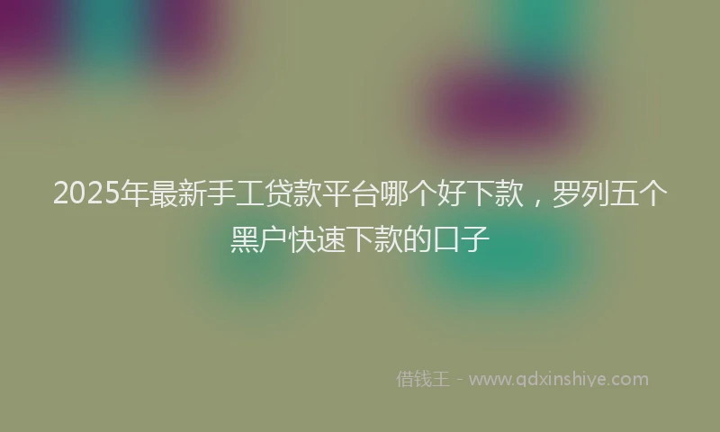2025年最新手工贷款平台哪个好下款，罗列五个黑户快速下款的口子