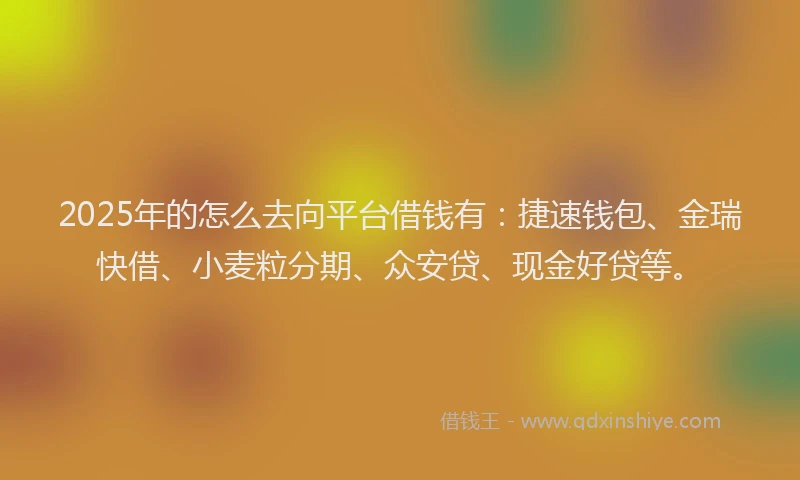 2025年的怎么去向平台借钱有：捷速钱包、金瑞快借、小麦粒分期、众安贷、现金好贷等。