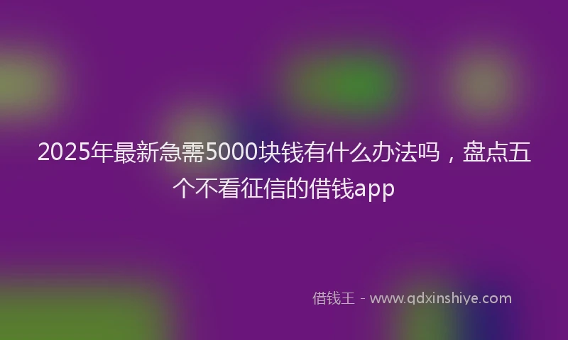 2025年最新急需5000块钱有什么办法吗，盘点五个不看征信的借钱app
