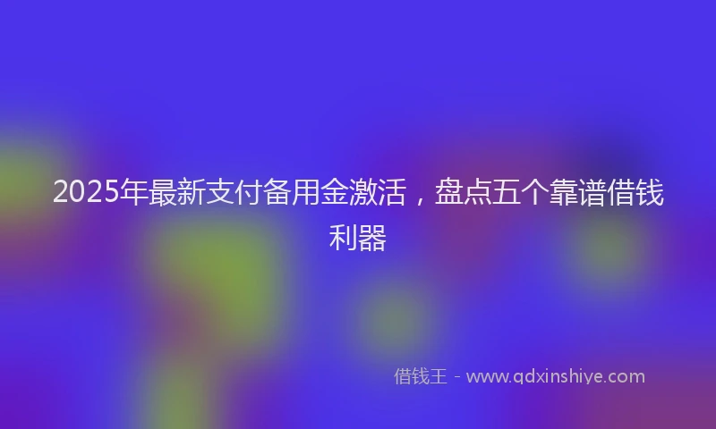 2025年最新支付备用金激活，盘点五个靠谱借钱利器