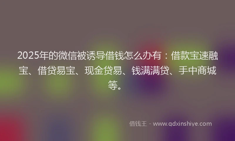 2025年的微信被诱导借钱怎么办有：借款宝速融宝、借贷易宝、现金贷易、钱满满贷、手中商城等。