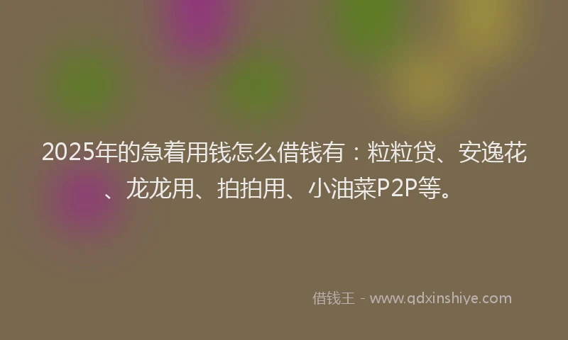 2025年的急着用钱怎么借钱有：粒粒贷、安逸花、龙龙用、拍拍用、小油菜P2P等。