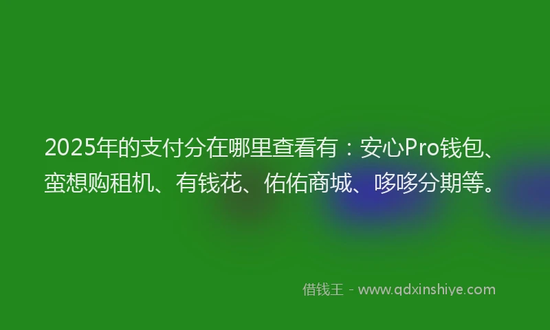 2025年的支付分在哪里查看有：安心Pro钱包、蛮想购租机、有钱花、佑佑商城、哆哆分期等。