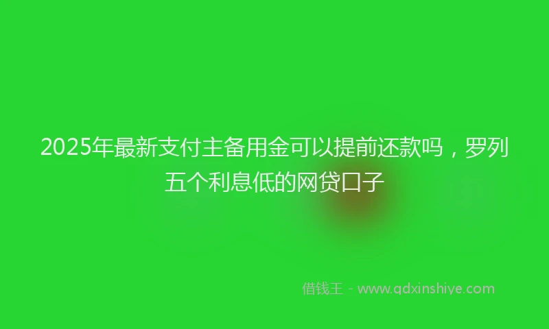 2025年最新支付主备用金可以提前还款吗，罗列五个利息低的网贷口子