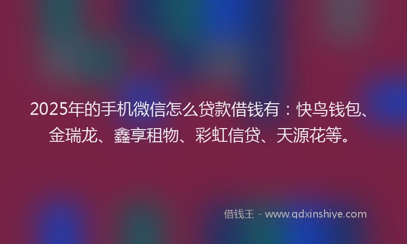 2025年的手机微信怎么贷款借钱有：快鸟钱包、金瑞龙、鑫享租物、彩虹信贷、天源花等。