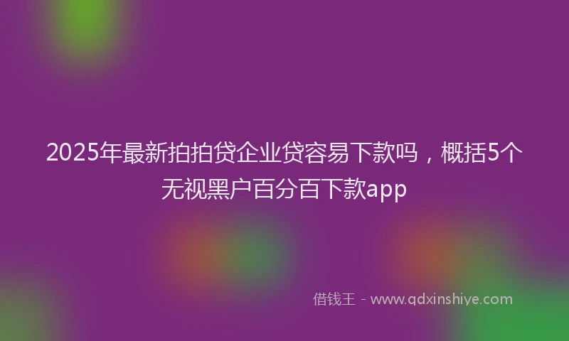 2025年最新拍拍贷企业贷容易下款吗，概括5个无视黑户百分百下款app