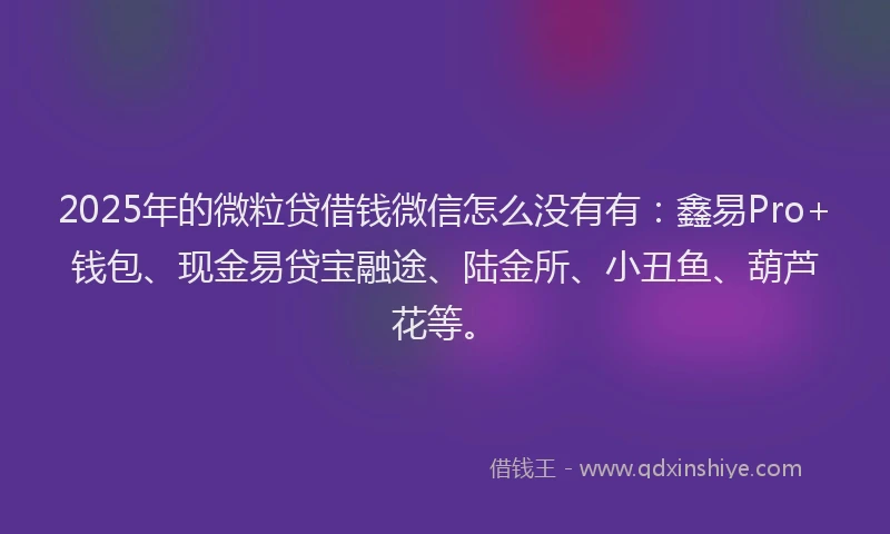 2025年的微粒贷借钱微信怎么没有有：鑫易Pro+钱包、现金易贷宝融途、陆金所、小丑鱼、葫芦花等。