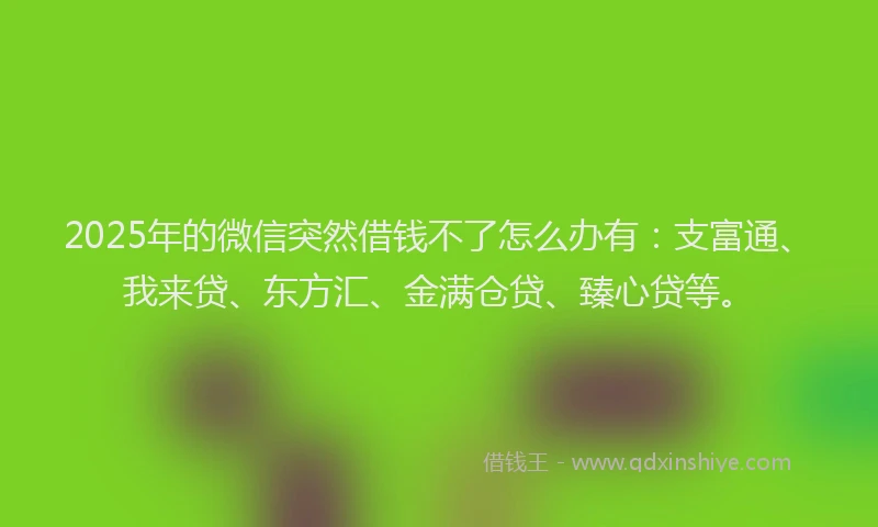 2025年的微信突然借钱不了怎么办有：支富通、我来贷、东方汇、金满仓贷、臻心贷等。