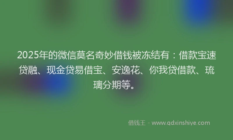 2025年的微信莫名奇妙借钱被冻结有：借款宝速贷融、现金贷易借宝、安逸花、你我贷借款、琉璃分期等。