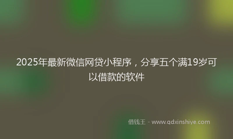 2025年最新微信网贷小程序，分享五个满19岁可以借款的软件