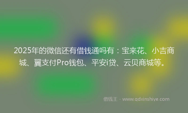 2025年的微信还有借钱通吗有：宝来花、小吉商城、翼支付Pro钱包、平安i贷、云贝商城等。