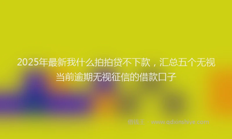 2025年最新我什么拍拍贷不下款，汇总五个无视当前逾期无视征信的借款口子