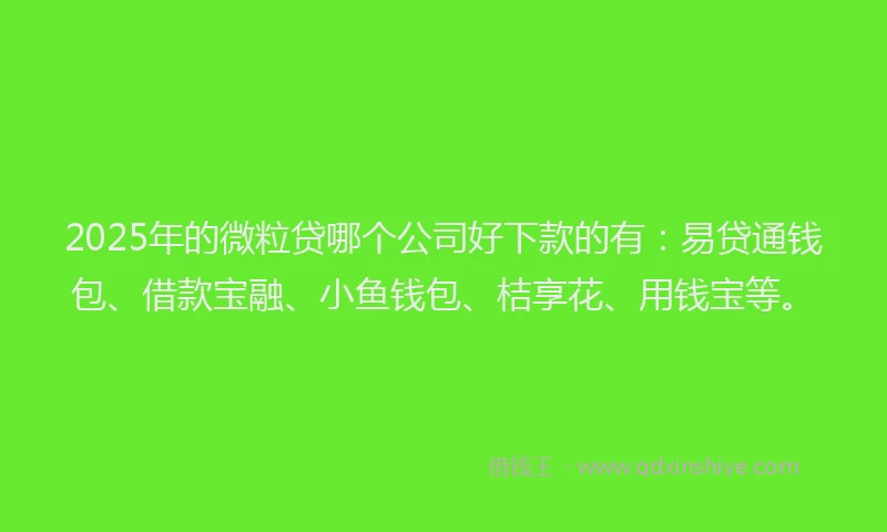 2025年的微粒贷哪个公司好下款的有：易贷通钱包、借款宝融、小鱼钱包、桔享花、用钱宝等。
