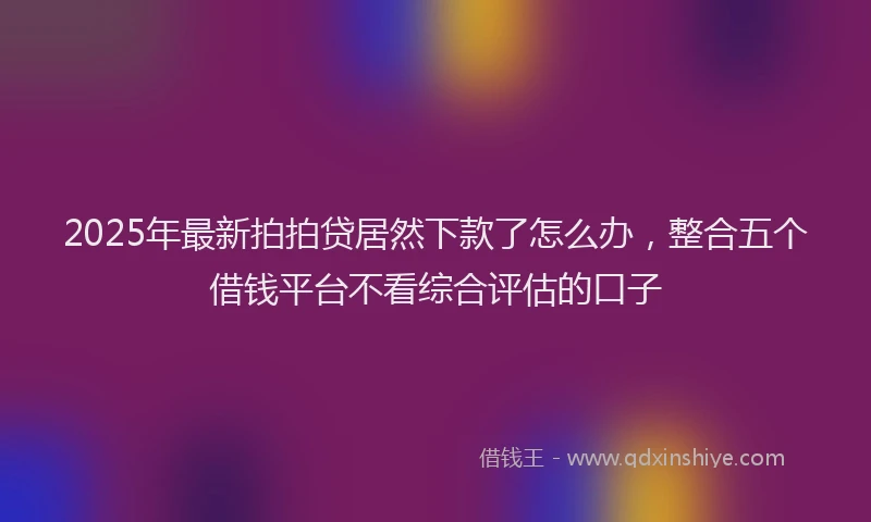 2025年最新拍拍贷居然下款了怎么办，整合五个借钱平台不看综合评估的口子