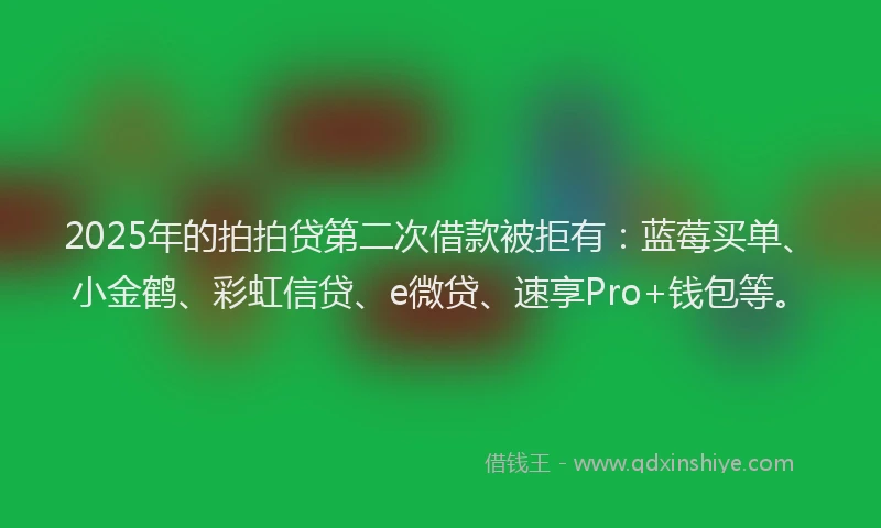 2025年的拍拍贷第二次借款被拒有：蓝莓买单、小金鹤、彩虹信贷、e微贷、速享Pro+钱包等。