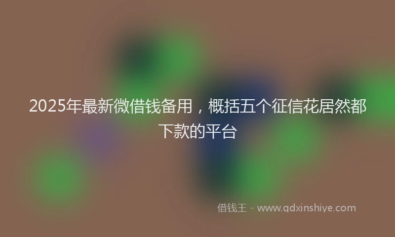 2025年最新微借钱备用，概括五个征信花居然都下款的平台