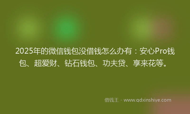 2025年的微信钱包没借钱怎么办有：安心Pro钱包、超爱财、钻石钱包、功夫贷、享来花等。