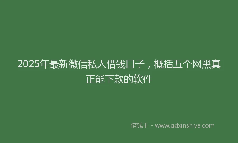 2025年最新微信私人借钱口子，概括五个网黑真正能下款的软件