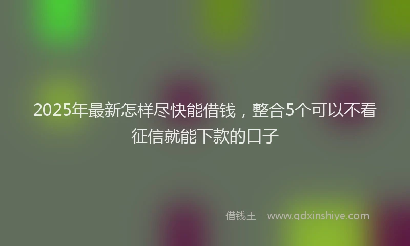 2025年最新怎样尽快能借钱，整合5个可以不看征信就能下款的口子