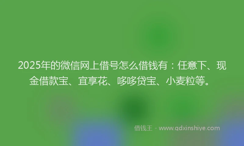 2025年的微信网上借号怎么借钱有：任意下、现金借款宝、宜享花、哆哆贷宝、小麦粒等。