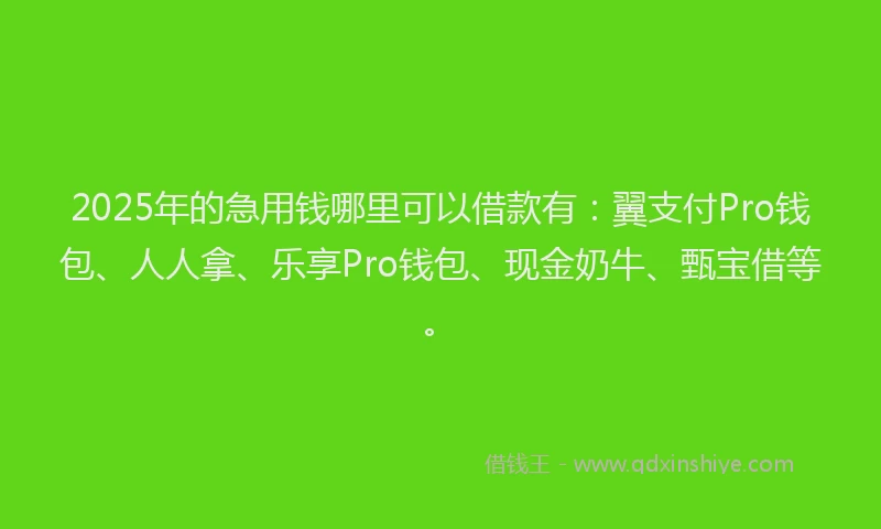 2025年的急用钱哪里可以借款有：翼支付Pro钱包、人人拿、乐享Pro钱包、现金奶牛、甄宝借等。