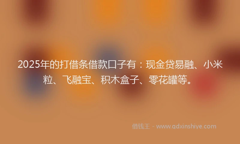 2025年的打借条借款口子有：现金贷易融、小米粒、飞融宝、积木盒子、零花罐等。