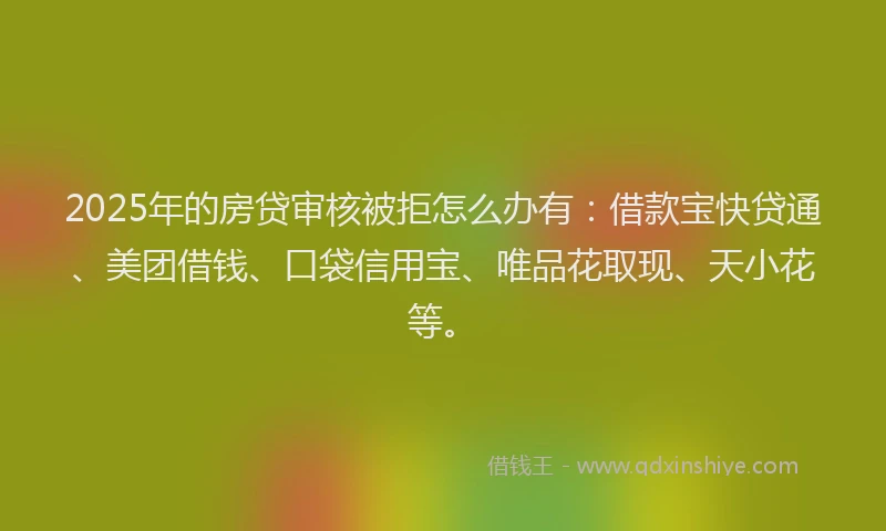 2025年的房贷审核被拒怎么办有：借款宝快贷通、美团借钱、口袋信用宝、唯品花取现、天小花等。