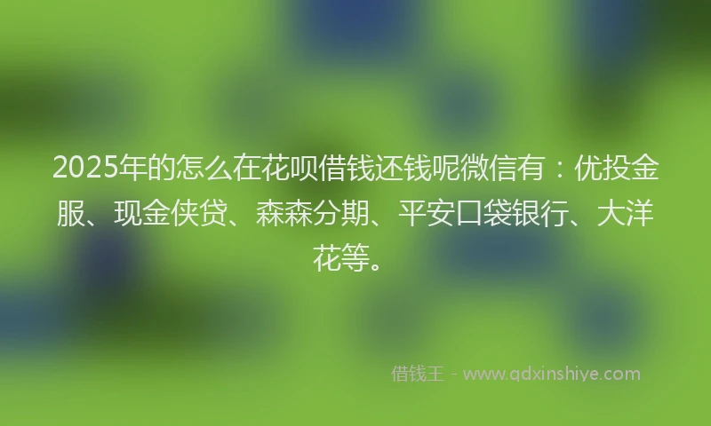2025年的怎么在花呗借钱还钱呢微信有：优投金服、现金侠贷、森森分期、平安口袋银行、大洋花等。