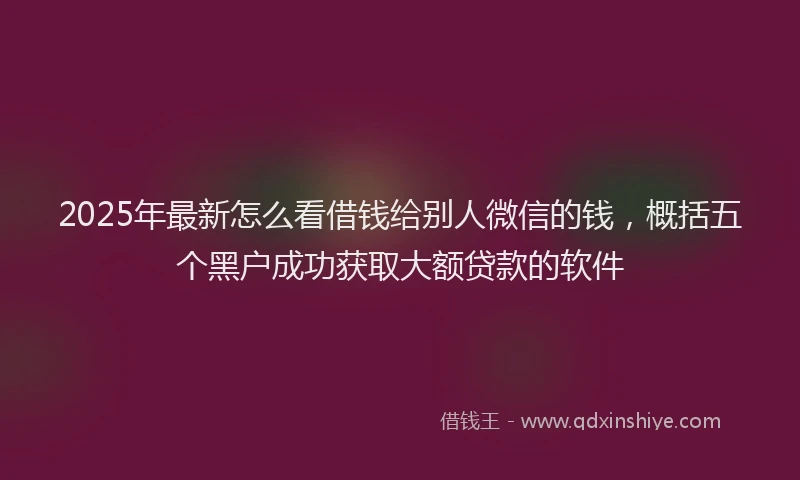 2025年最新怎么看借钱给别人微信的钱，概括五个黑户成功获取大额贷款的软件