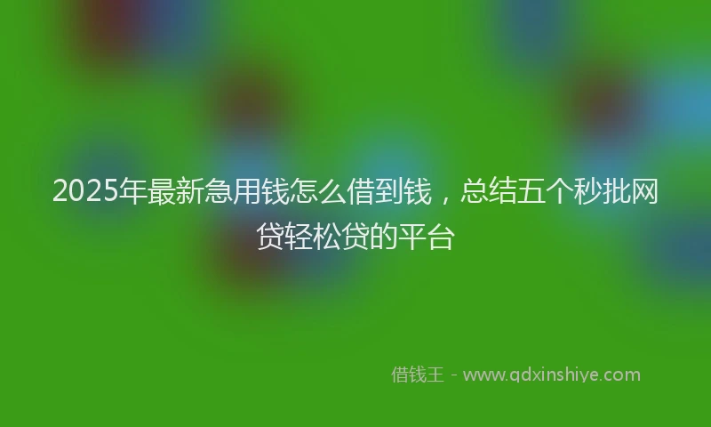 2025年最新急用钱怎么借到钱，总结五个秒批网贷轻松贷的平台