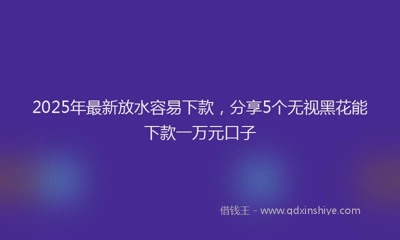 2025年最新放水容易下款，分享5个无视黑花能下款一万元口子