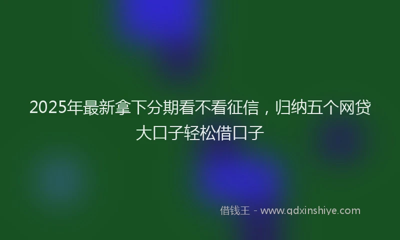 2025年最新拿下分期看不看征信，归纳五个网贷大口子轻松借口子
