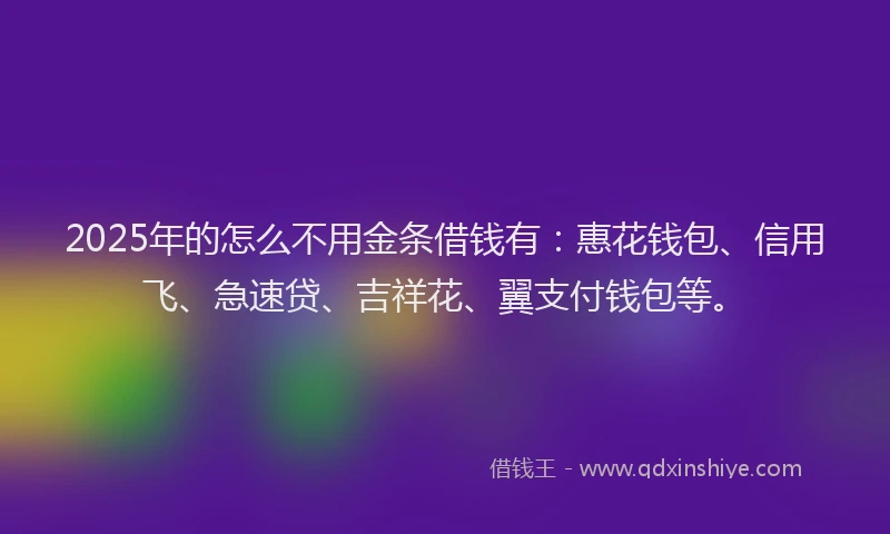 2025年的怎么不用金条借钱有：惠花钱包、信用飞、急速贷、吉祥花、翼支付钱包等。