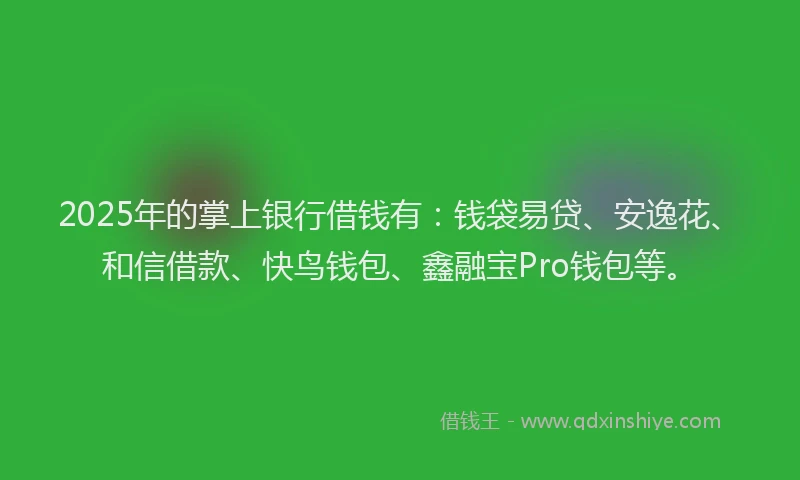2025年的掌上银行借钱有：钱袋易贷、安逸花、和信借款、快鸟钱包、鑫融宝Pro钱包等。