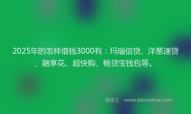 2025年的怎样借钱3000有：玛瑙信贷、洋葱速贷、融享花、超快购、畅贷宝钱包等。