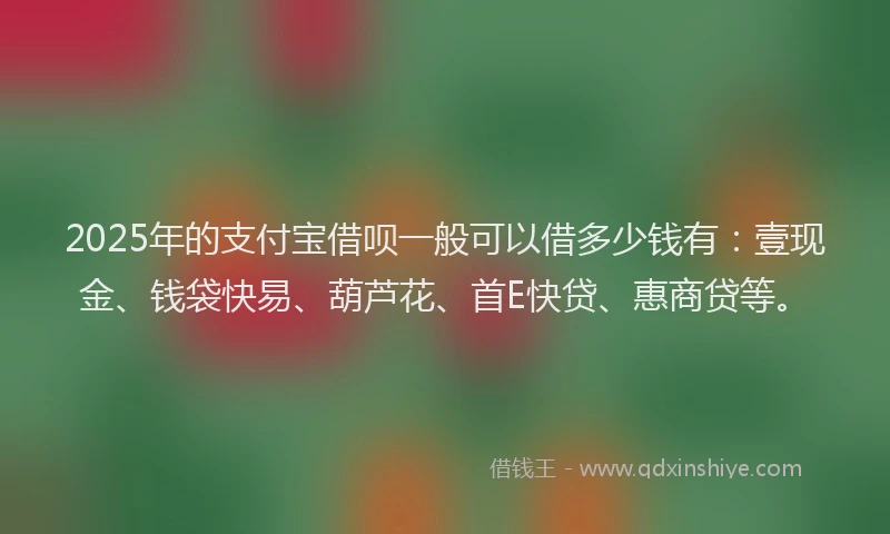 2025年的支付宝借呗一般可以借多少钱有：壹现金、钱袋快易、葫芦花、首E快贷、惠商贷等。