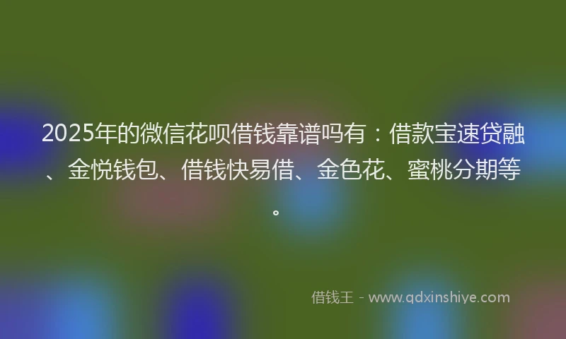 2025年的微信花呗借钱靠谱吗有：借款宝速贷融、金悦钱包、借钱快易借、金色花、蜜桃分期等。